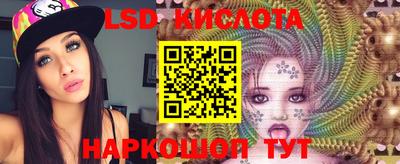 прущие крисы Нальчик