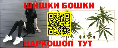 дмт Новозыбков