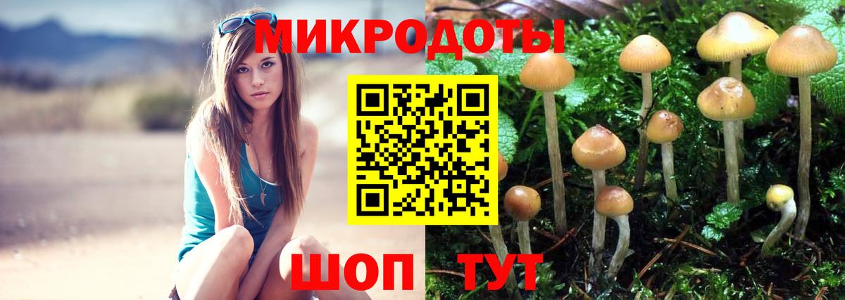 Галлюциногенные грибы MAGIC MUSHROOMS  Псилоцибиновые грибы GOLDEN TEACHER  Старая Купавна  Вход с VPN 